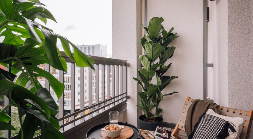 Photo of Morning With Me