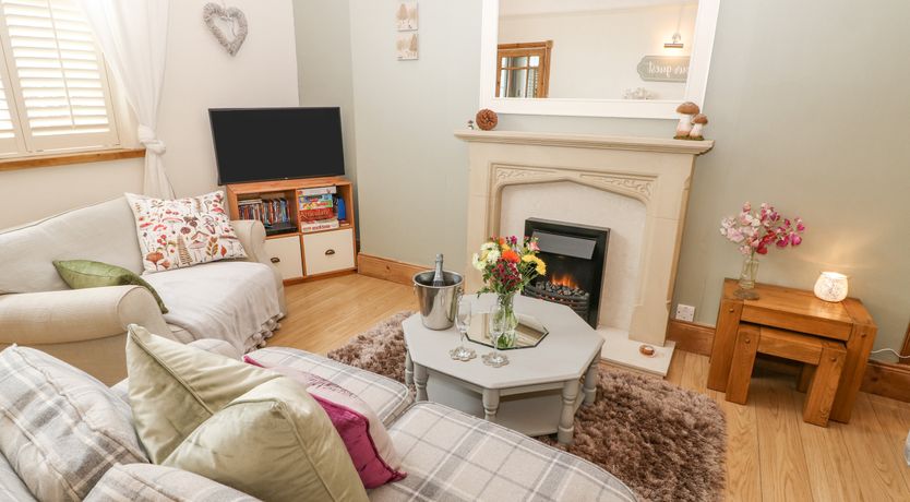 Photo of The Nutshell