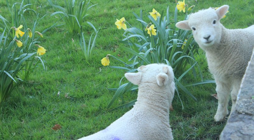 Photo of The Chapel, Brompton Regis