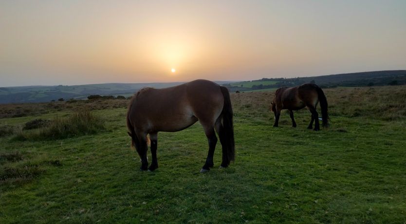 Photo of The Chapel, Brompton Regis