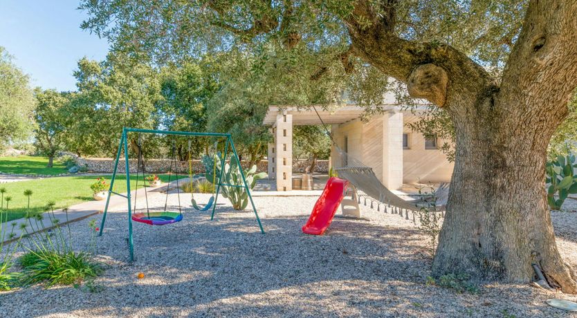 Photo of Stone Olive