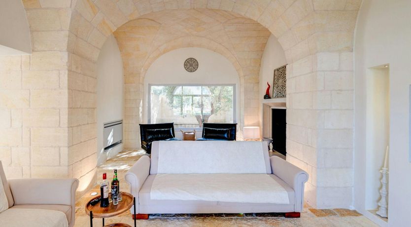 Photo of Stone Olive