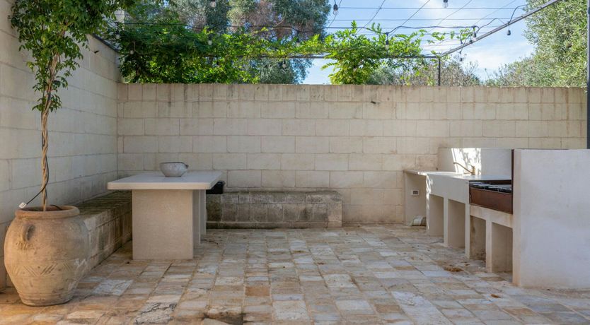 Photo of Stone Olive