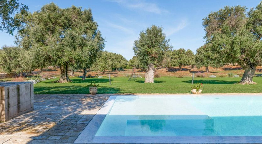 Photo of Stone Olive