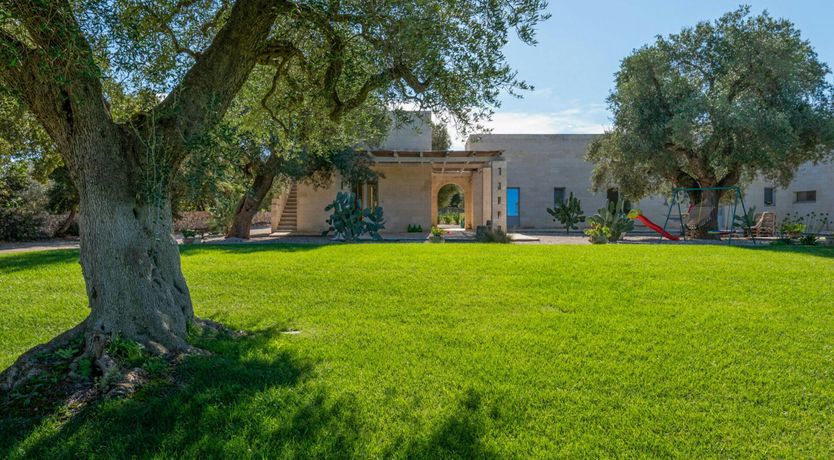 Photo of Stone Olive