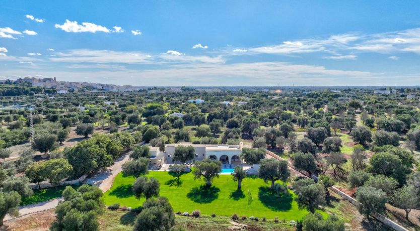 Photo of Stone Olive