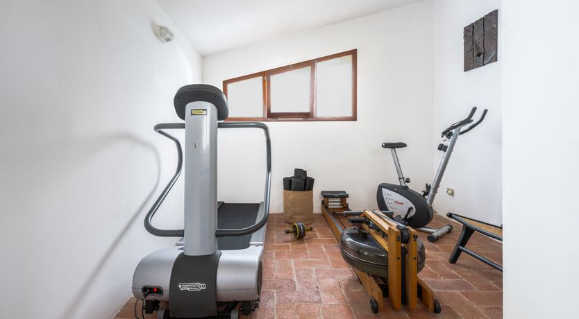 Photo of Florentine Dreams