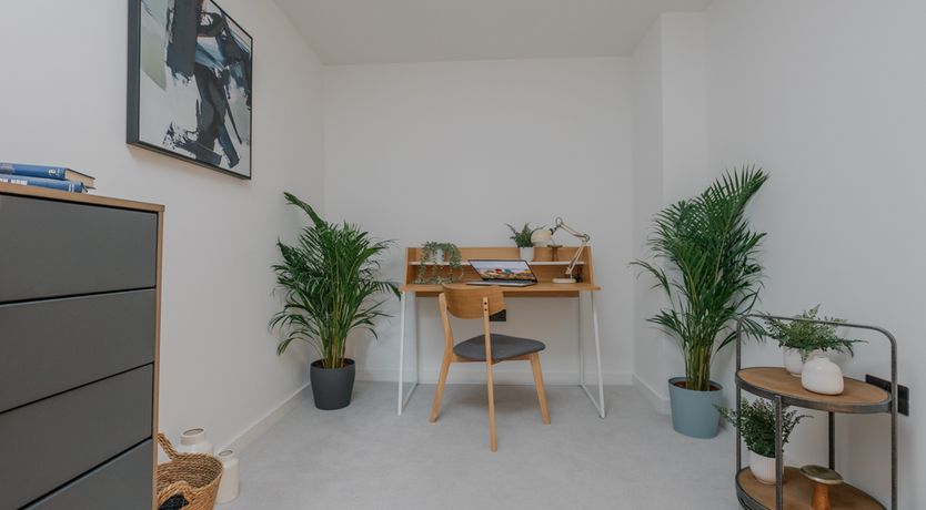 Photo of Wandsworth Wonder