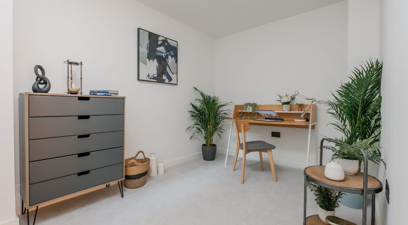 Photo of Wandsworth Wonder