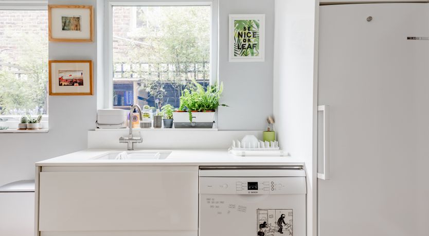 Photo of The London Butterfly