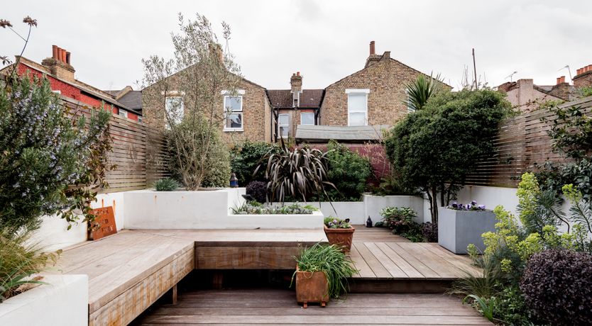 Photo of The London Butterfly