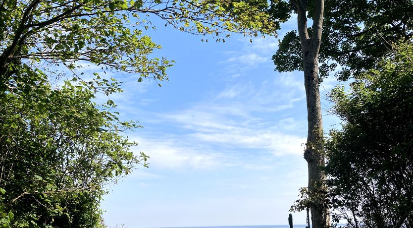 Photo of The Waterfront Treasure