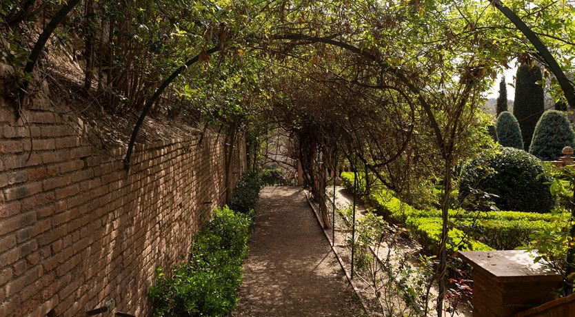 Photo of The Sunlight's Kiss