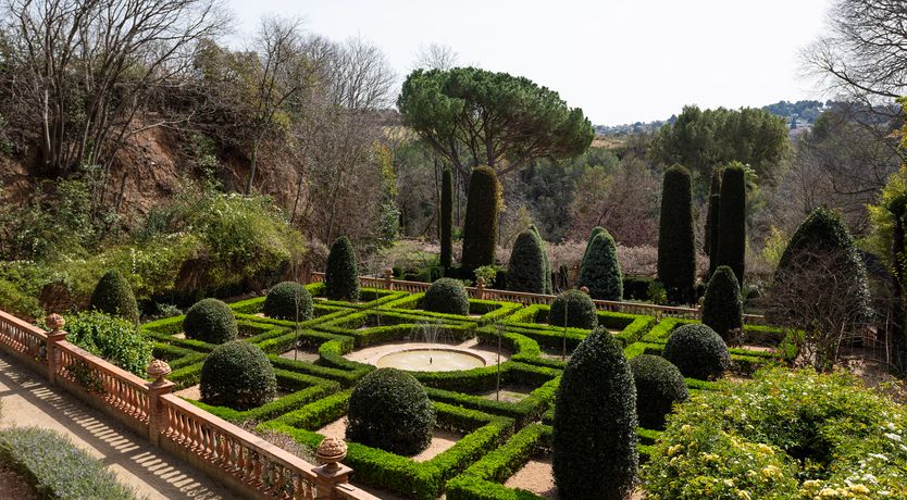 Photo of The Sunlight's Kiss