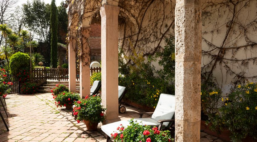 Photo of The Sunlight's Kiss