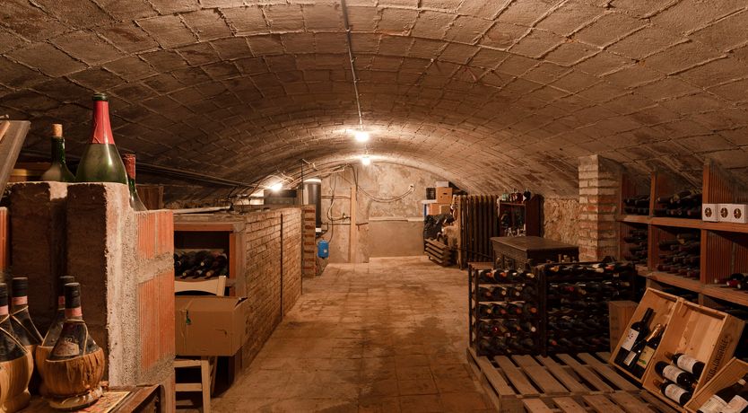 Photo of The Sunlight's Kiss