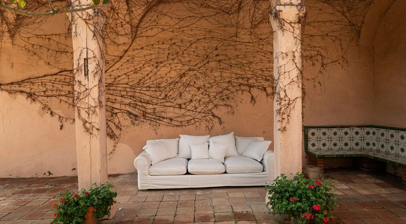 Photo of The Sunlight's Kiss