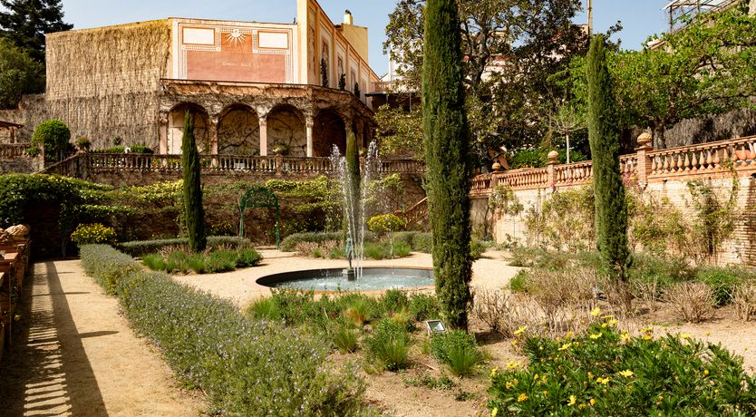 Photo of The Sunlight's Kiss