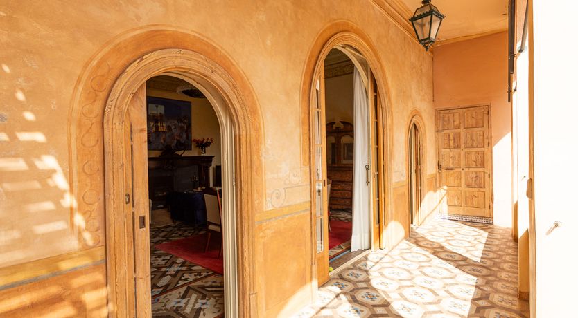 Photo of The Sunlight's Kiss