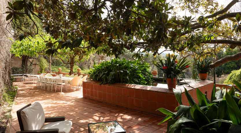 Photo of The Sunlight's Kiss