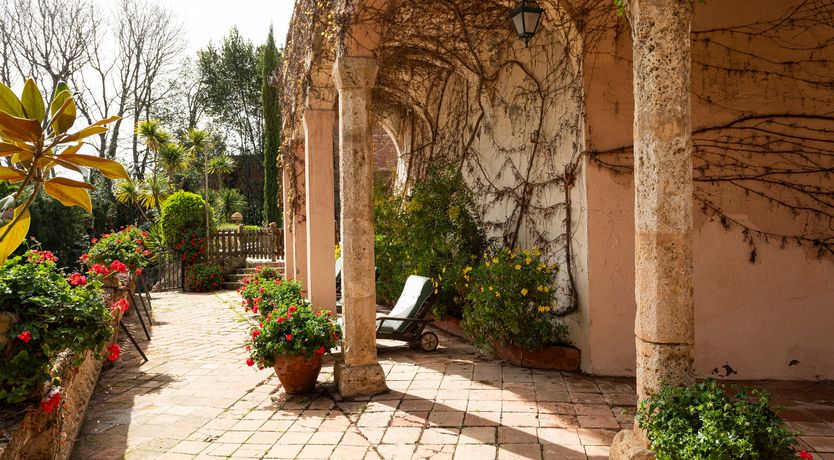 Photo of The Sunlight's Kiss