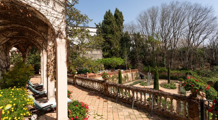 Photo of The Sunlight's Kiss