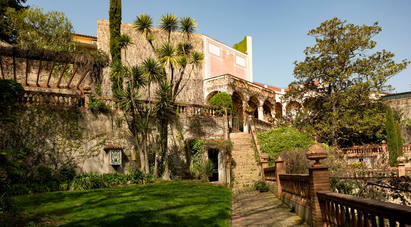 Photo of The Sunlight's Kiss