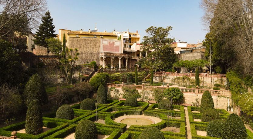 Photo of The Sunlight's Kiss