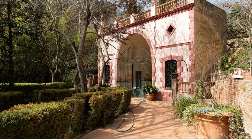 Photo of The Sunlight's Kiss