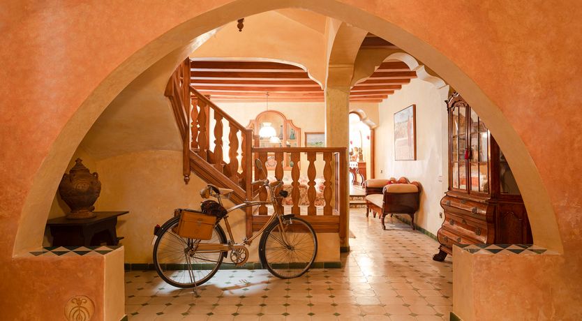 Photo of The Sunlight's Kiss