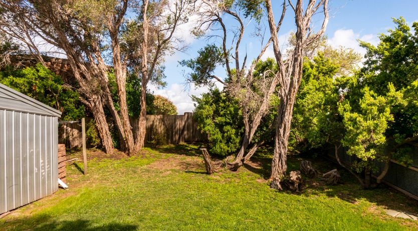 Photo of The Morning Light