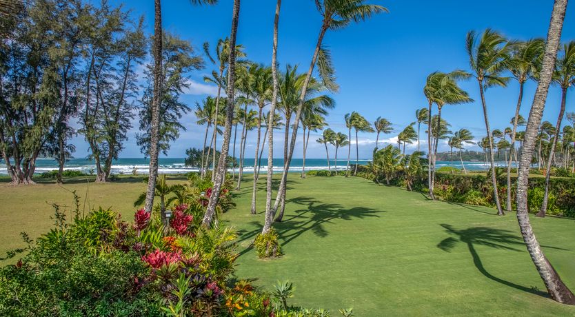 Photo of Aloha Bliss