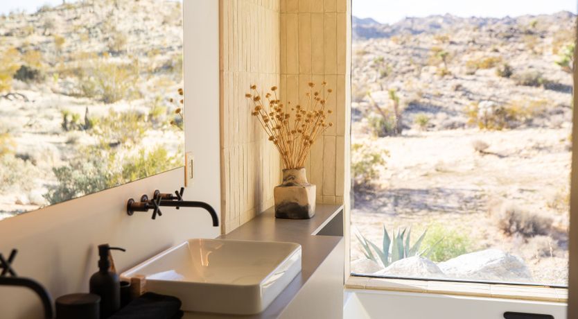 Photo of The Cactus Blossom