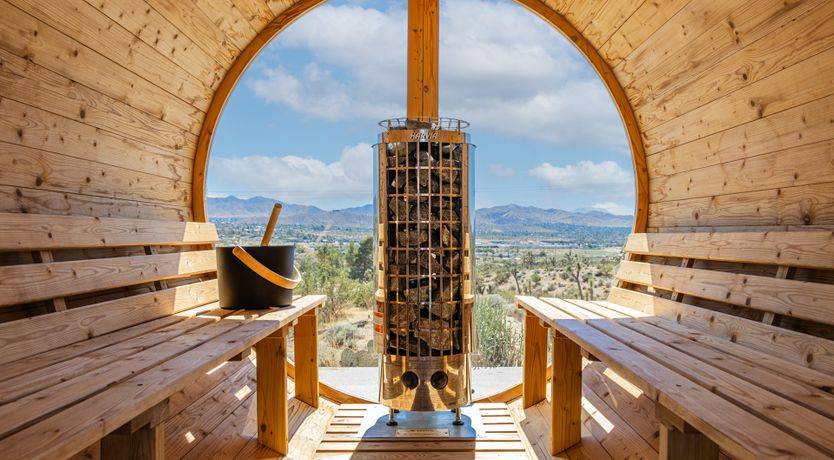 Photo of The Cactus Blossom