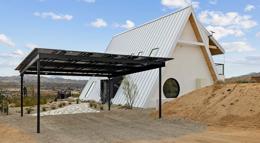 Photo of The Cactus Blossom
