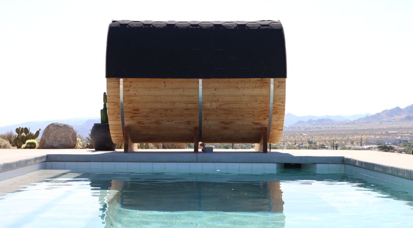 Photo of The Cactus Blossom