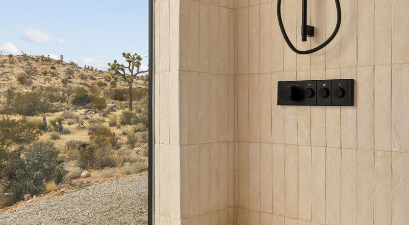 Photo of The Cactus Blossom