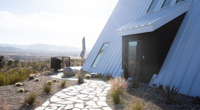 Photo of The Cactus Blossom