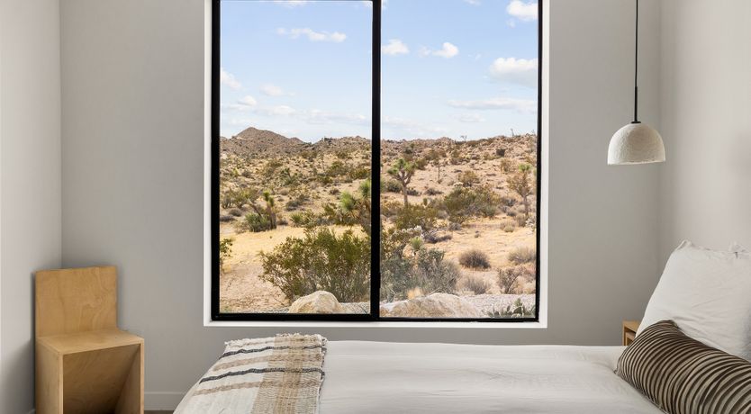 Photo of The Cactus Blossom