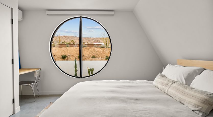 Photo of The Cactus Blossom