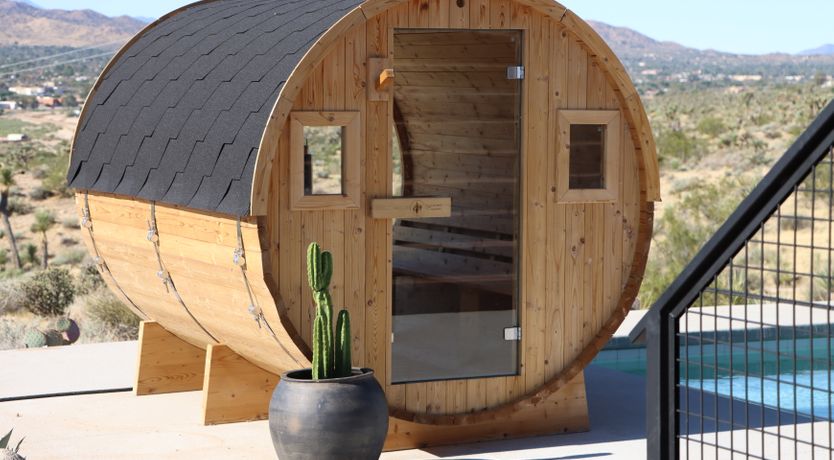 Photo of The Cactus Blossom