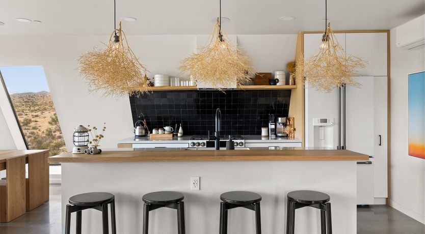 Photo of The Cactus Blossom