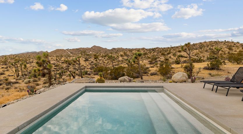 Photo of The Cactus Blossom