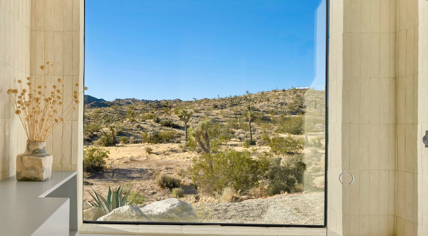 Photo of The Cactus Blossom