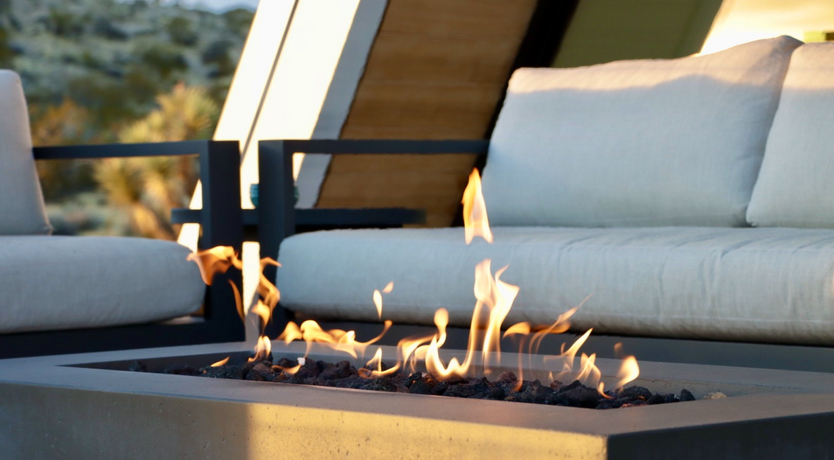 Photo of The Cactus Blossom