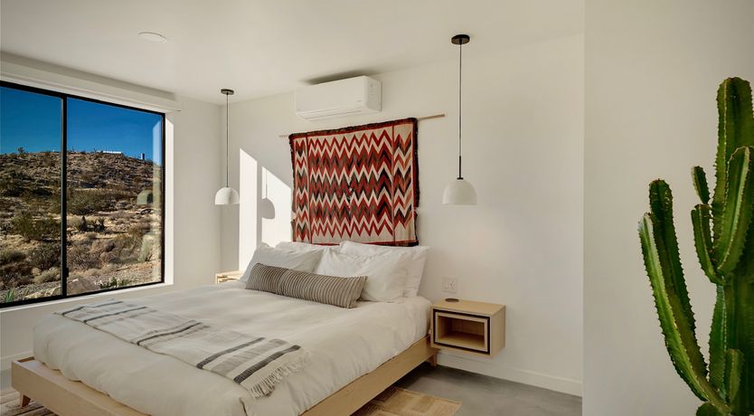 Photo of The Cactus Blossom