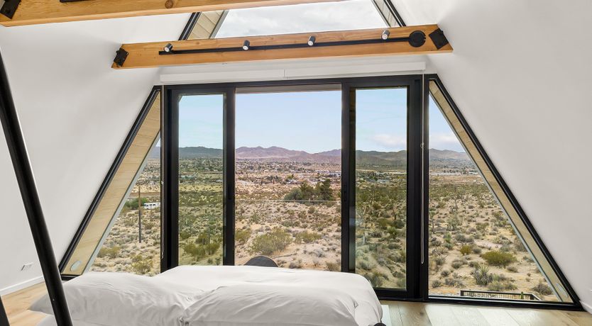 Photo of The Cactus Blossom