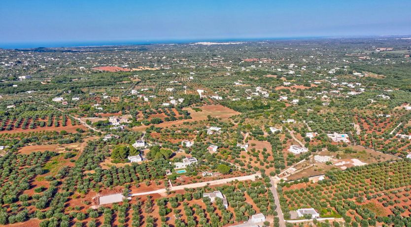 Photo of The White Villa