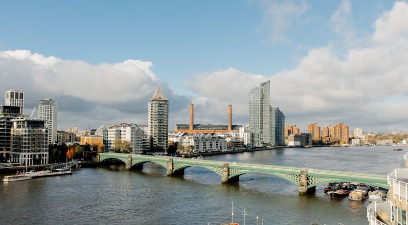 Photo of The Royal Bloom