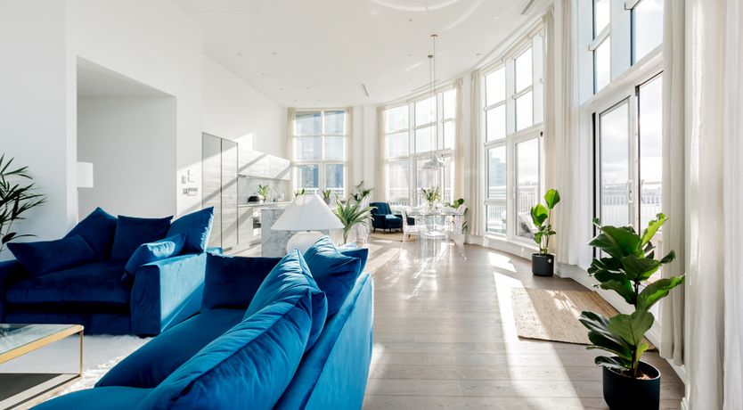 Photo of The Royal Bloom